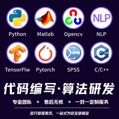 深度学习机器学习算法代做创新python代编程代码指导问题解决