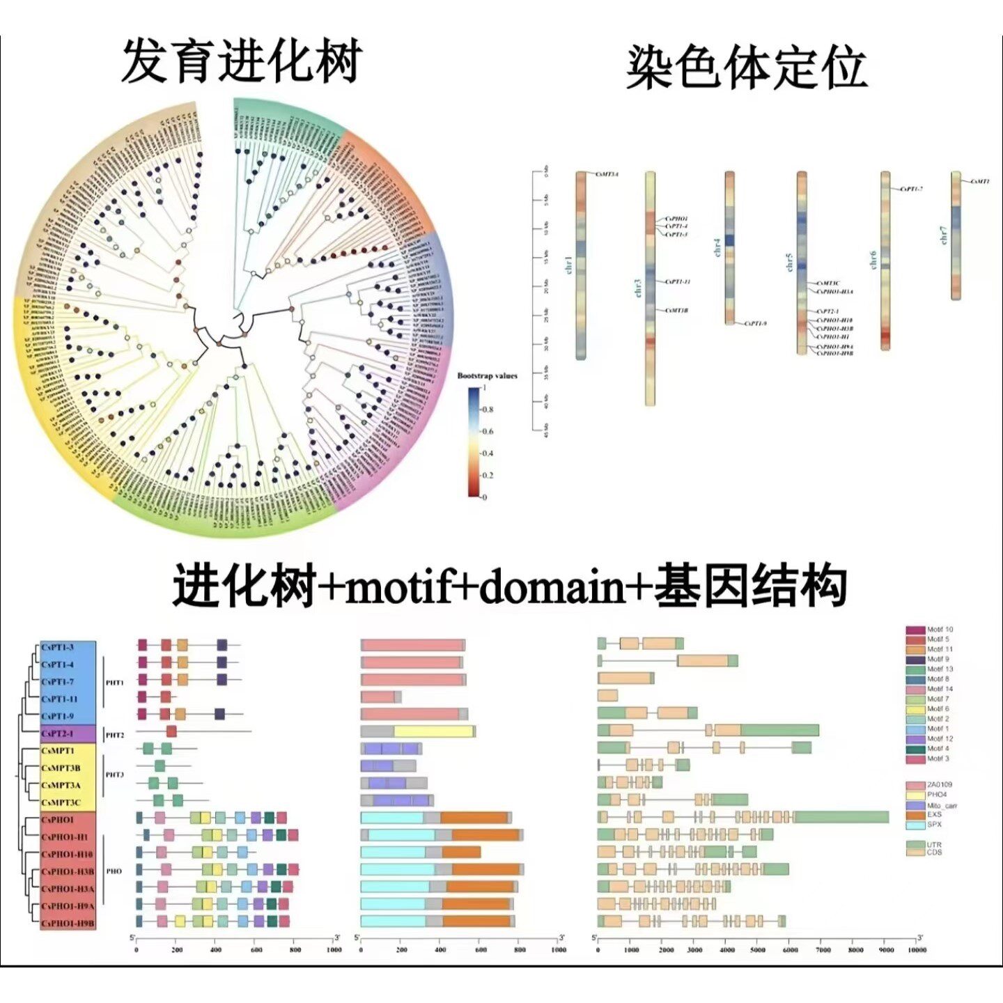 中药复方网络药理毒理学化合物筛选活性成分机制解析服务