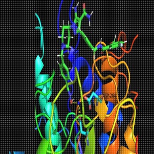 分子对接服务/网络药理学/虚拟筛选/蛋白蛋白对接/反向分子对接