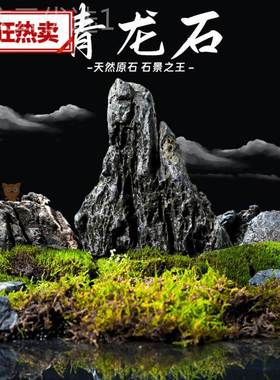 青石松石溪龙流石QAQ鱼缸景石天皮然真石头缸假山小块盆景微造景