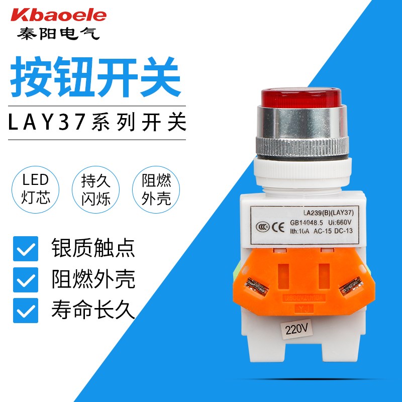 按钮开关带灯自锁 电源开关 LAY7 LAY37-11DNZS Y090-11DNZS 22MM