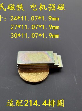 罗氏磁铁新国标电动车磁钢24/27/30*11.07*1.9MM排圈214.4 低速款