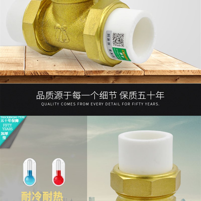 PPR止回阀黄铜卧式立式止回阀  单向阀逆止阀 PPR水管管件配件