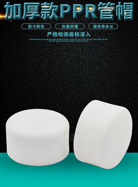 PPR水管管帽试压堵头闷头20 4分25 6分32 1寸ppr水管管件配件