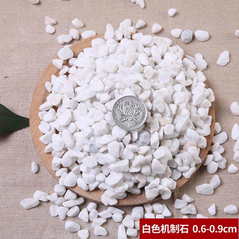 5色0斤装白石子石头鹅卵石庭院铺路铺大地PVV小白石头景景造观白