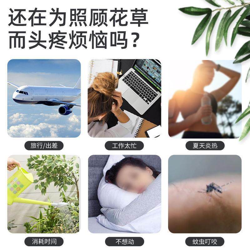 雨灌水感应大屏幕全自动浇花器花园阳台浇水神时智器能溉控定9852