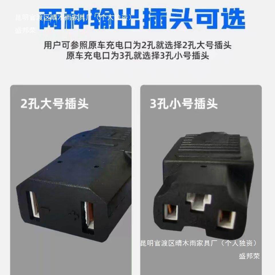 盛邦荣 电瓶三轮水电瓶车车充电器4电8V60V7AAL2V动汽自动关机智