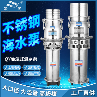 QY不锈钢海水泵养殖场鱼塘灌溉潜水泵304耐腐蚀大流量船用油浸泵
