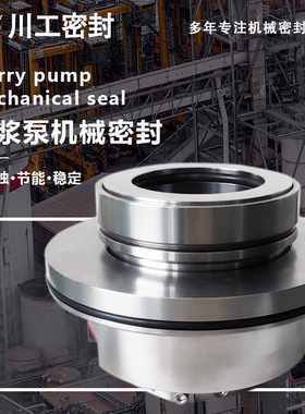 IJ150-150-560-PK-G\4/3X-AH\APP42苏奥尔赛寿罗机械密封