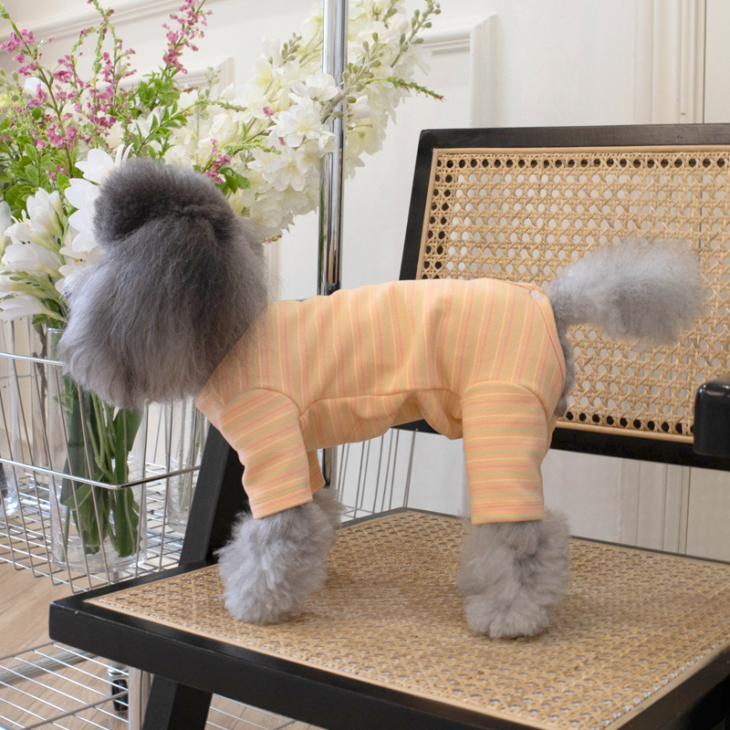 绿色包肚子春秋款冬款四脚裤泰迪狗狗猫咪宠物衣服小型幼犬四脚衣