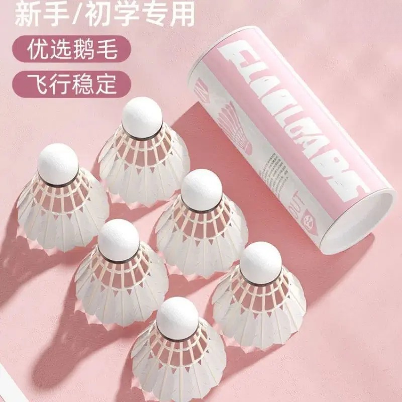 羽毛球室內外訓練比賽