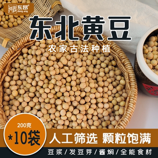 今年新货黄豆农家自种大豆生豆芽打豆浆豆子小包装 更方便批发价