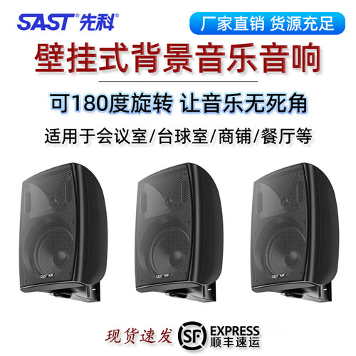 先科壁挂音响重低音背景音乐会议