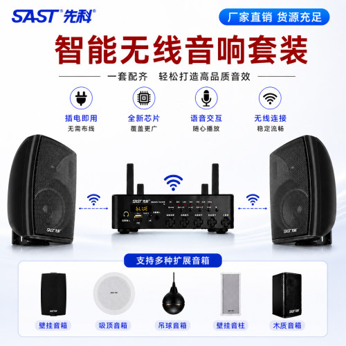 先科无线壁挂吸顶音响喇叭音箱