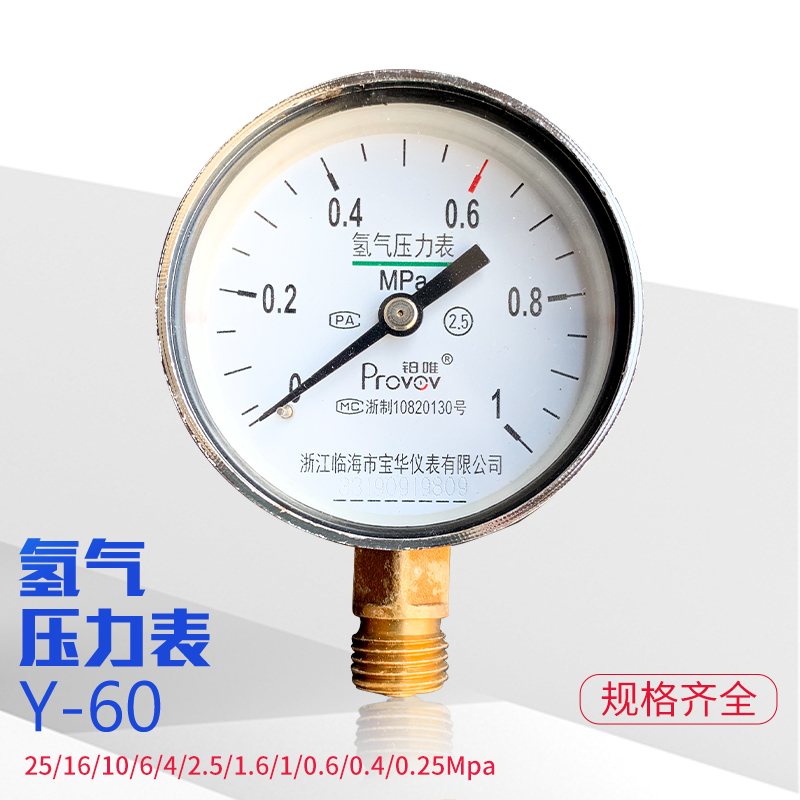 铂唯氢气压力表减压器H2表头(0.4/1/1.6/2.5/6/10/25)MPa