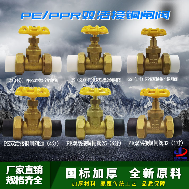 PPR铜闸阀 PPR阀门双头活接铜球截止阀门20 4分PPR水管管件配件