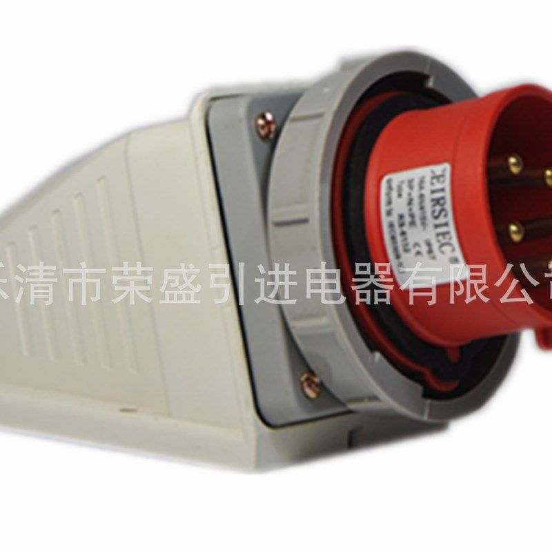 5极16A荣盛CEIRSIEC防水防爆工业插座(器具插座)RS-6152 明装