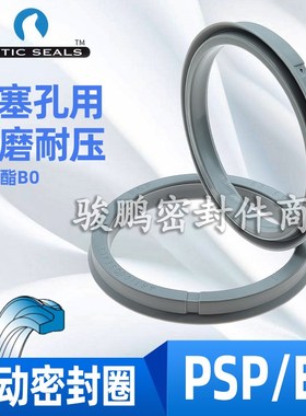 意大利ARTIC SEALS气缸活塞密封圈PSP/E4 32/40/50/63/80/100/125