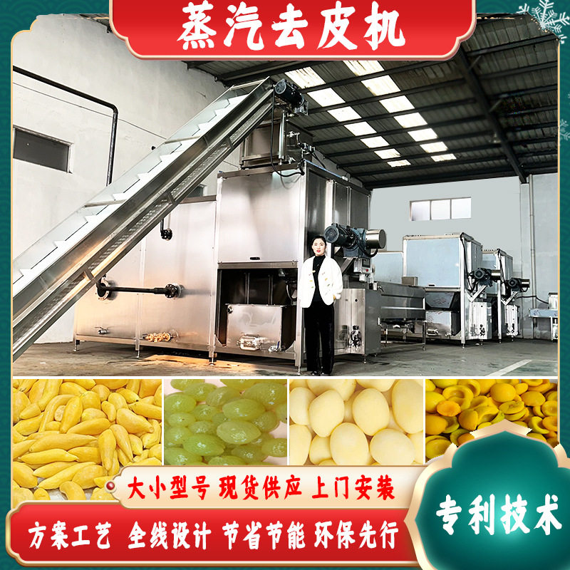 黄桃蒸汽去皮机南瓜削皮机西红柿罐头加工流水线设备