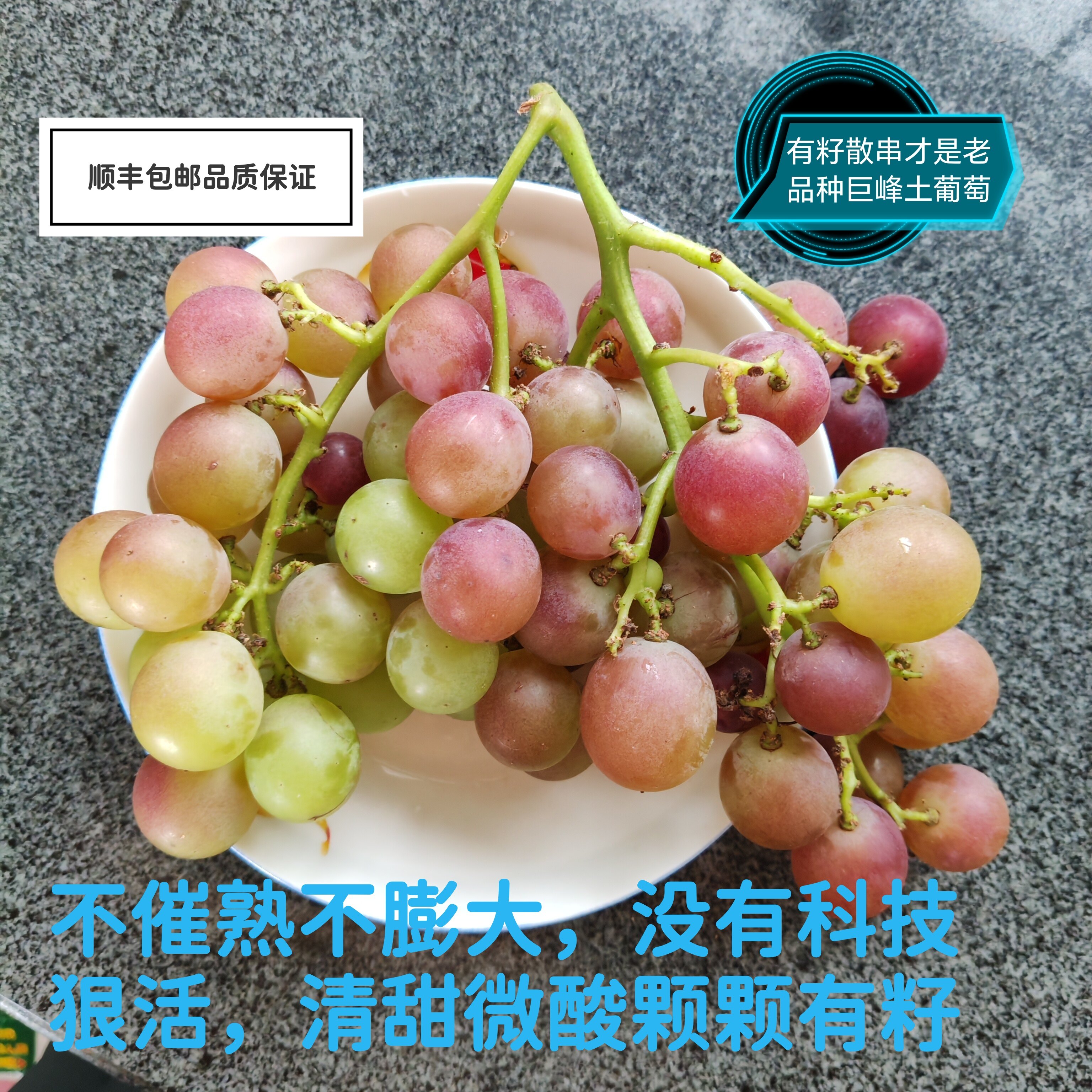 有籽老品种青红巨峰葡萄新鲜当季酸甜孕宝水果老式自然熟农家自种