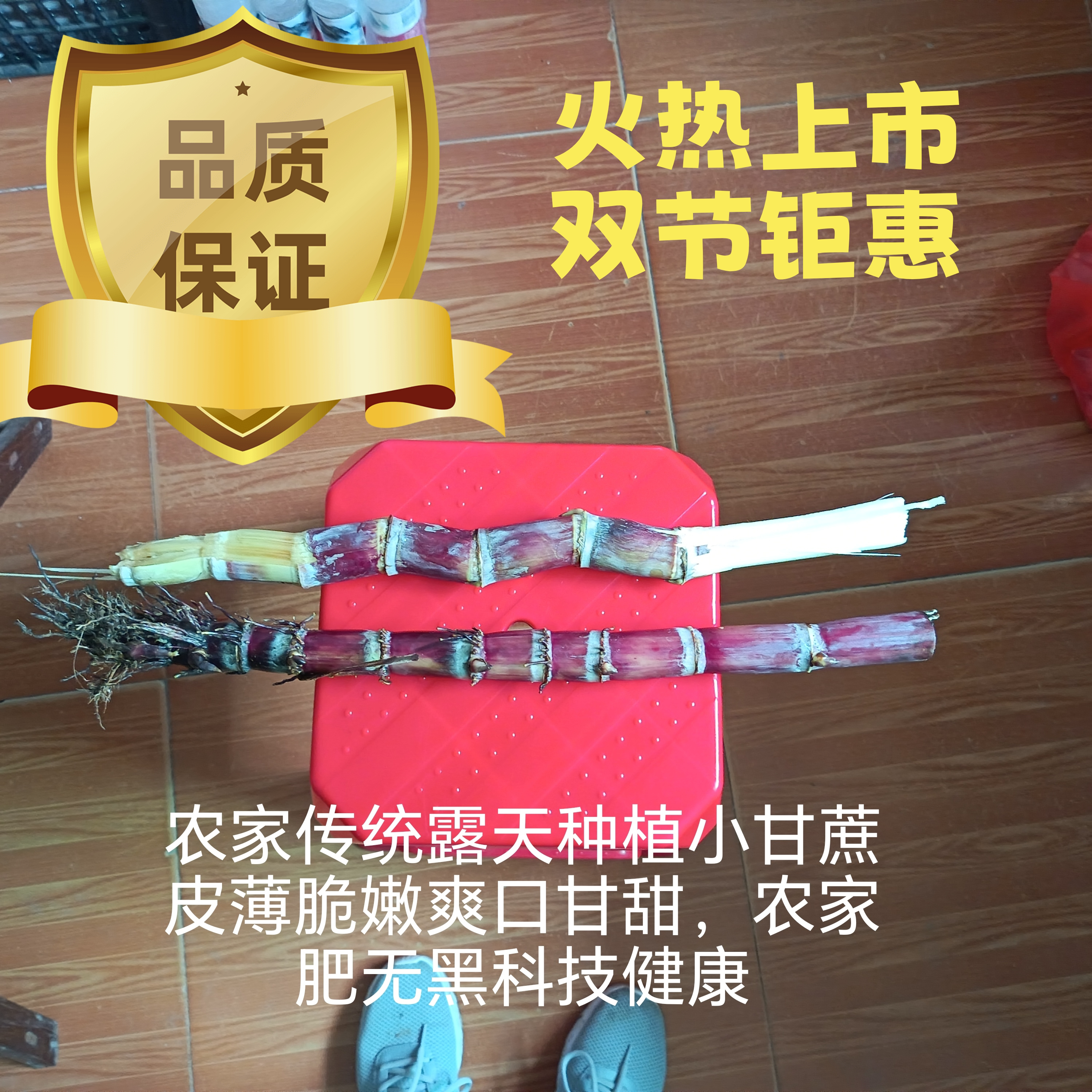 农家菜园小甘蔗自留种农家肥传统露天种植脆嫩多汁淡清甜现砍现发