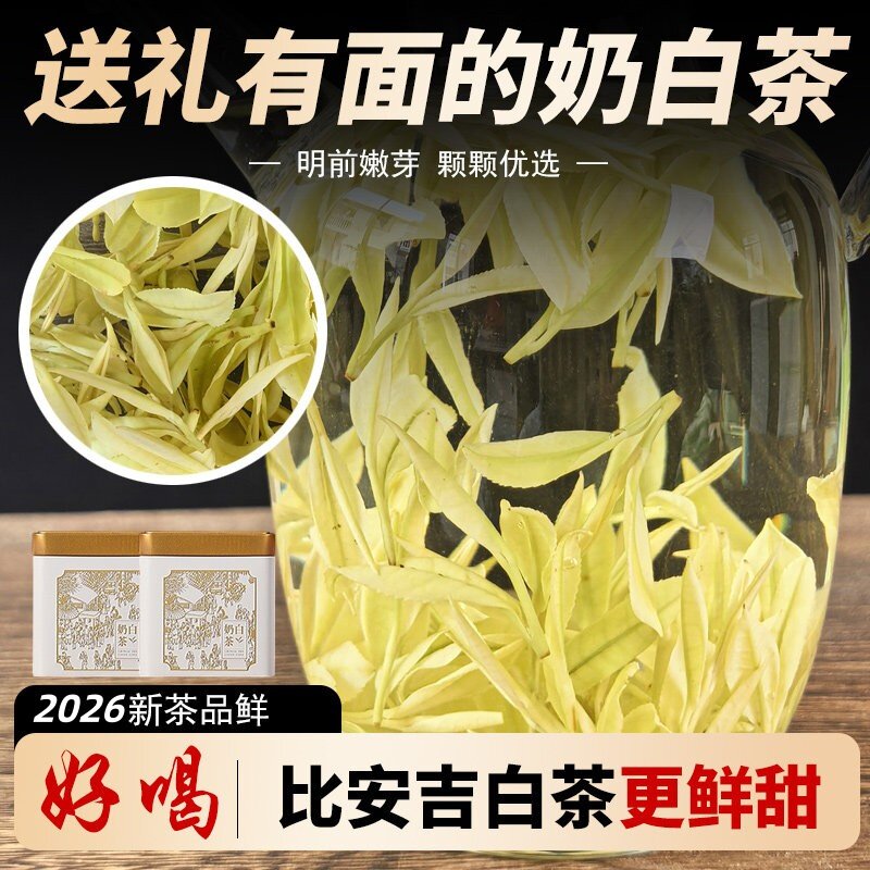 2026新茶黄金玉蕊奶白茶特级高端稀有皇金芽安吉熊猫官方旗舰店