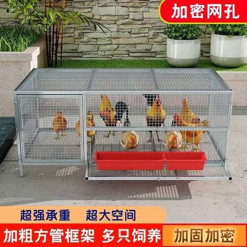 家用鸡笼子养殖笼兔笼鸽子笼鸭笼防锈鸡笼子厂家直销防黄鼠狼防鼠