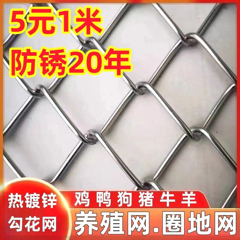 镀锌铁丝网围栏养殖鸡鸭防护网格勾花网养狗护栏钢丝网牛羊隔离网