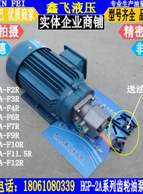 HGP-2A-F10R EG-PA-F11R  F12R GPY-F9R 11.5R高压齿轮油泵电机组