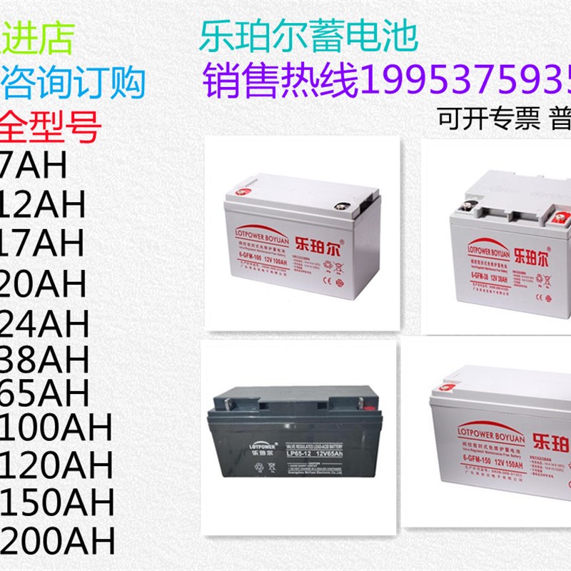 乐珀尔蓄电池LP/6-GFM-12V100AH65A55A40A38A24A20A17A7A直流屏用