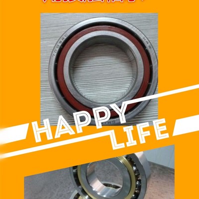 瓦房店ZWZ角接触球轴承7205 7206 7207 7208 7209 AC ACM铜保持器