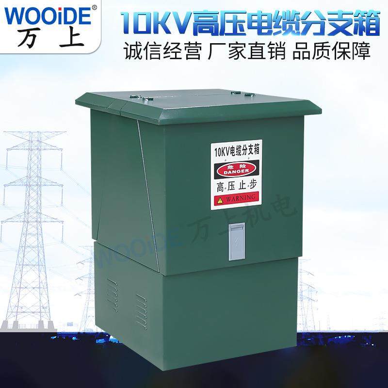 10KV分支箱不锈钢铁壳DFW-12/630A电缆分接箱一进一二三四五出