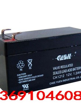 防火卷帘门控制箱蓄电池 CASIL CA1212 12V/12AH 阿兰德电池