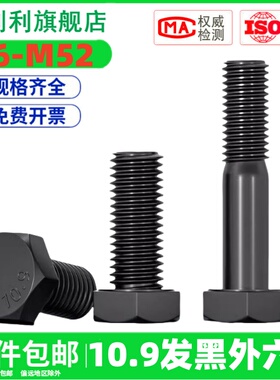 10.9级高强度加长外六角螺栓碳钢螺钉六角头螺丝M8M10M12全扣螺栓