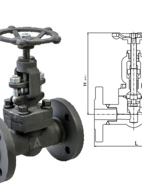 埃美柯9392 铸钢法兰截止阀 DN15 20 25 32