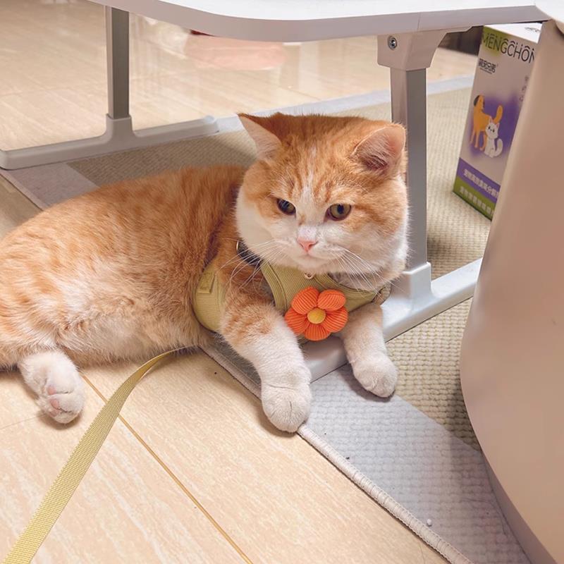 猫咪牵引绳可爱花朵胸背防挣脱宠物狗狗防走丢工字型遛猫绳遛狗绳