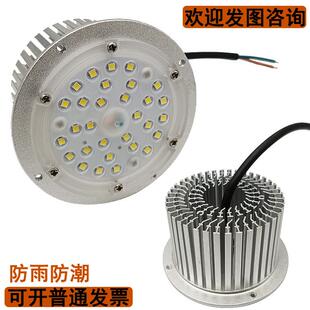 路灯LED灯泡模组玉兰灯内胆防雨灯胆庭院灯灯芯景观灯埋地灯光源