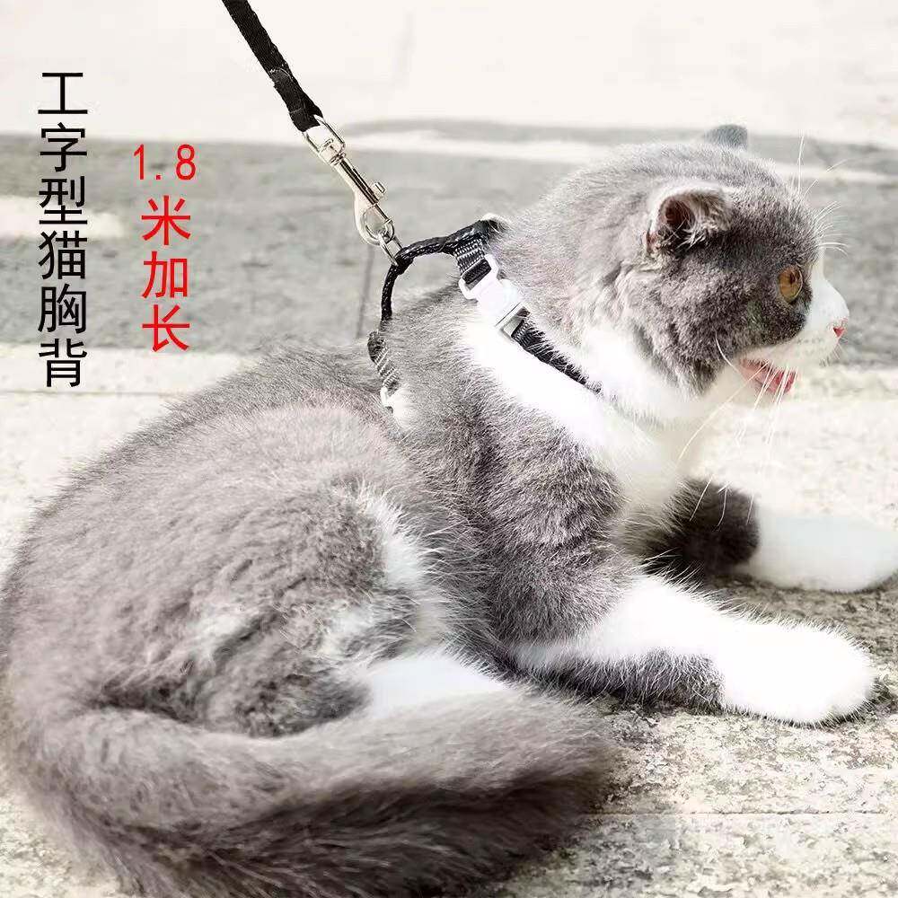 猫咪牵引绳防挣脱幼猫成猫猫绳子溜猫绳猫胸背工字型可调节拴猫链