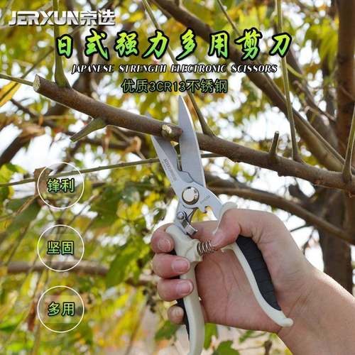 京选8寸多功修枝刀果枝树剪园林绿化枝工具粗剪刀花艺修花剪刀园