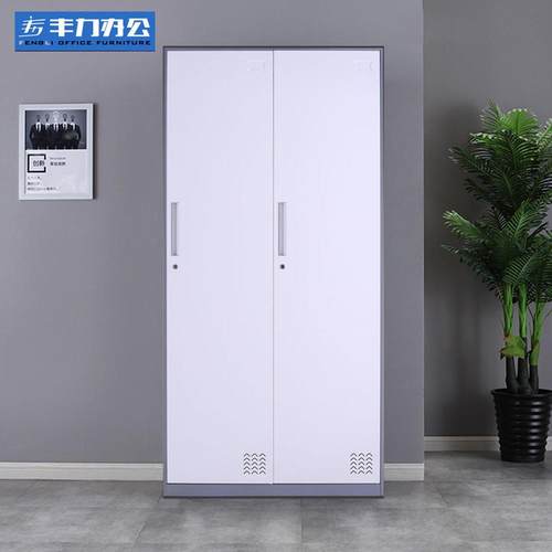 阳厂家衣柜卧柜VAA室更衣柜家用储物收纳洛柜钢制衣柜可拆套装色