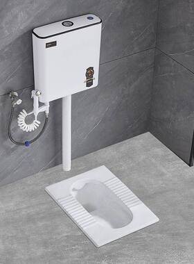 家用陶瓷蹲便器冲水器箱整所套装卫57370生间大便便池厕蹲式防坑