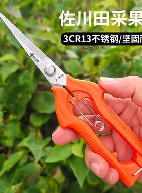 花剪园艺萄ZAI剪刀枝剪摘果剪果花艺葡修采果修剪水果剪刀