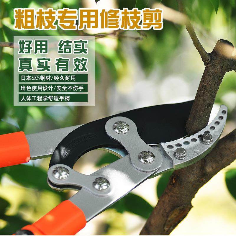 园果枝剪 粗枝剪刀果枝剪园艺剪果树修枝剪刀缩动园林林手伸高枝