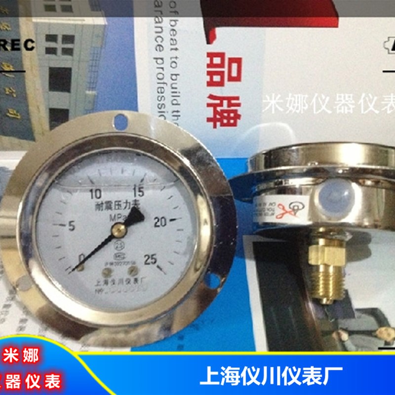 面板安装耐震压力表YN60ZT  0-1.6MPA 2.5MPA  气压表 上海仪川