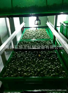 绿色长寿芽花生芽苗一体机 多用途豆芽机设备 食品豆制品加工机械