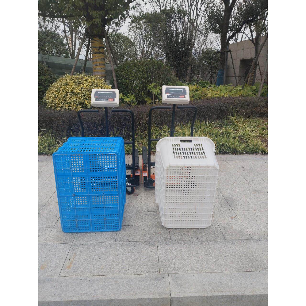 地磅秤塑料筐叉车鸡蛋筐蔬菜筐堆叠周转箱高强度HDPE材质收纳
