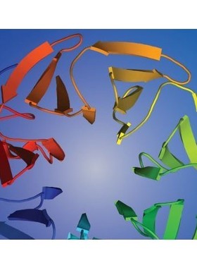 rosetta蛋白设计/建模/对接/rosetta视频教程