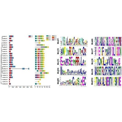 ChIP-seq蛋白结合位点scRNA-seq测序分析