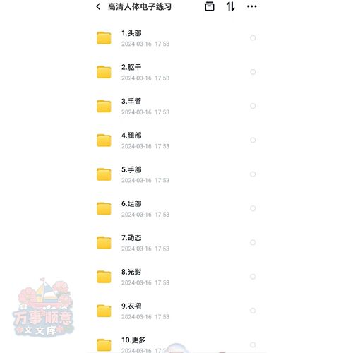 tenten人体结构高清练习图 共1069张图