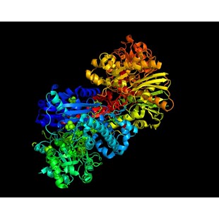 gromacs分子动力学,分子动力学模拟,蛋白分子对接,氨基酸突变